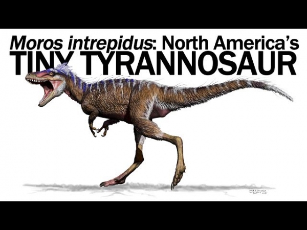 Пра-пра-прадедушка тираннозавра был размером с большую собаку