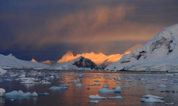 В Антарктиде зафиксирован рекорд высокой температуры