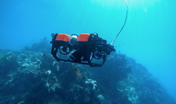Веб-портал позволит посетителям поуправлять подводным роботом-исследователем в онлайне