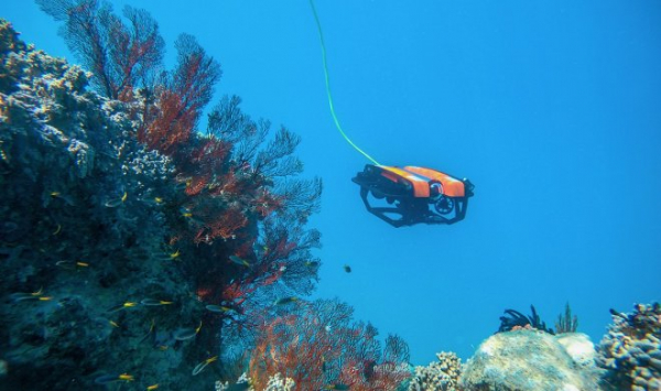 Веб-портал позволит посетителям поуправлять подводным роботом-исследователем в онлайне