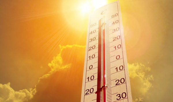 Июль 2021 года стал самым жарким месяцем за все время наблюдений за погодой