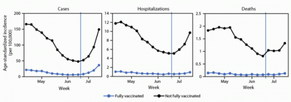 Исследования подтвердили эффективность вакцин против дельта-штамма Covid-19