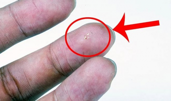 Этот крохотный микрочип – самое маленькое летающее устройство в мире