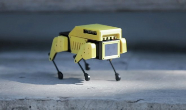 Робот-щенок Mini Pupper: очаровательная бюджетная версия Spot от Boston Dynamics