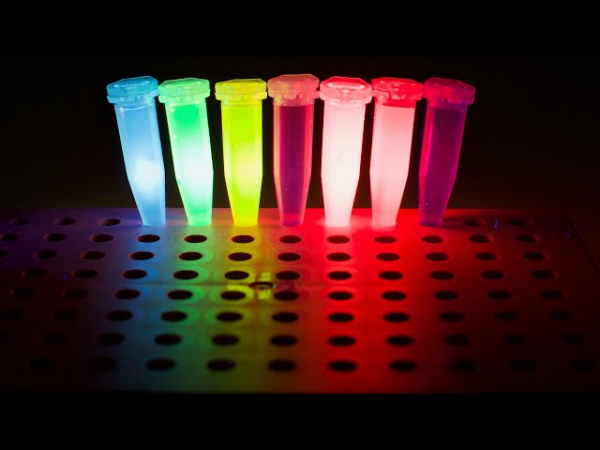 Ученые из Гарварда научились хранить информацию в смесях флуоресцентных красителей