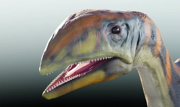 В Гренландии найден первый в истории «местный» вид динозавров