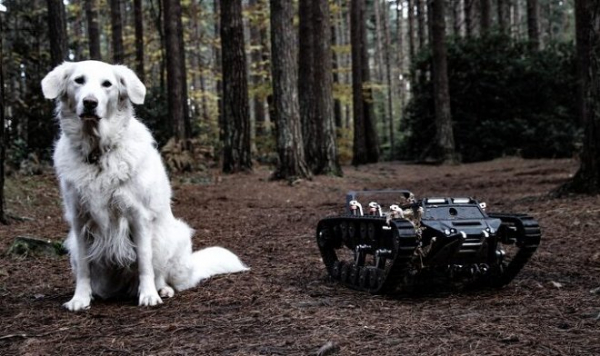 Xtreme RC разработала Brawler – радиоуправляемый гусеничный робот-вездеход