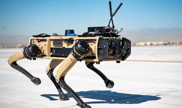 Границы США отныне будут охранять собаки-роботы
