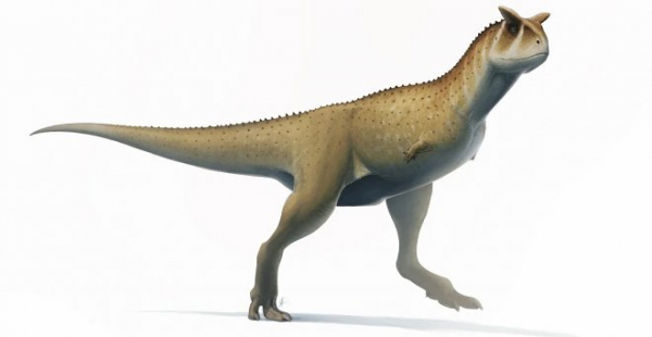 В Аргентине нашли останки странного «безрукого» динозавра, который был успешным хищником