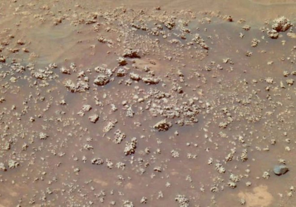 Curiosity нашел на Марсе крошечный «каменный цветок»