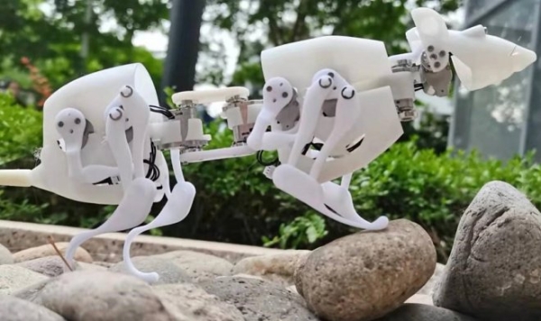 Робот-крыса SQuRo поможет отыскать людей под завалами