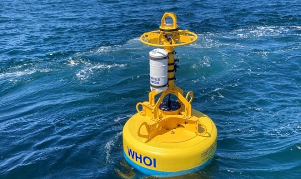 Буи-роботы предотвратят столкновения кораблей с атлантическими китами