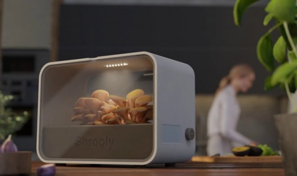 Автоматическая система Shrooly позволит выращивать съедобные грибы у себя дома