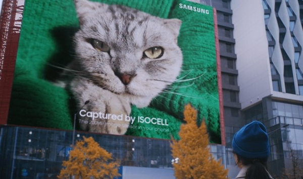Фото кота размером с теннисный корт демонстрирует возможности камеры смартфона Samsung Isocell HP1