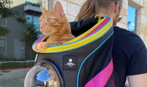 Для фанатов игры Stray про кошку-путешественницу выпустят лимитированную серию кошачьих рюкзаков