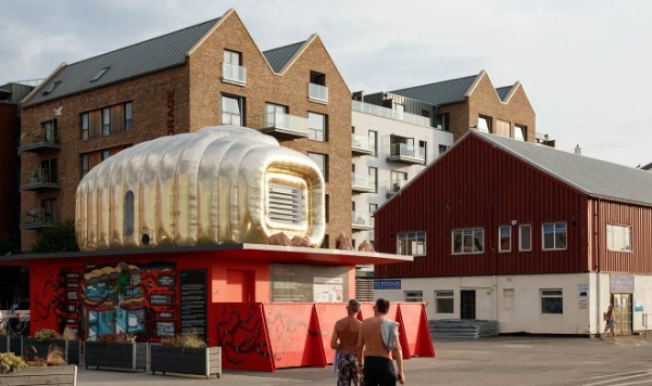 Архитекторы и дизайнеры создали в Бристоле тщательно продуманный «марсианский дом»