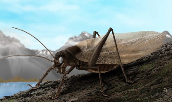 Ученые воссоздали звуки давно утерянного насекомого, чтобы вновь отыскать его