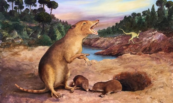 Ученые обнаружили самое древнее млекопитающее Земли