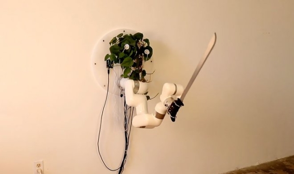 Эксцентричный инженер превратил обычное домашнее растение в робота с мачете