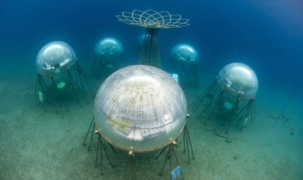 Подводный «Сад Немо» открывает новую веху в обеспечении человечества пищей