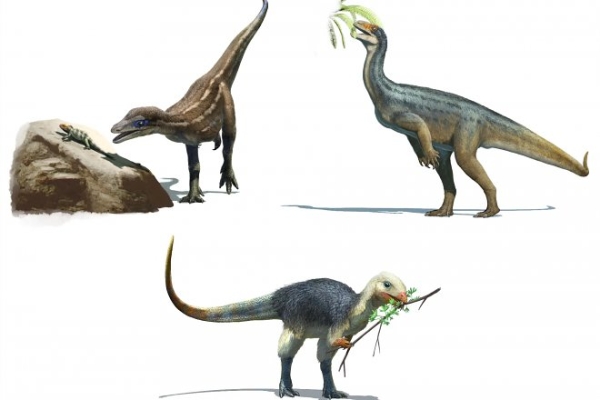 Неожиданное исследование доказало, что предки травоядных динозавров питались мясом
