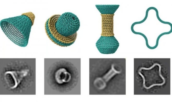 Технология ДНК-оригами позволила создавать наноконтейнеры из молекул