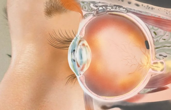 Конкурент Маска разрабатывает глазные импланты с дополненной реальностью