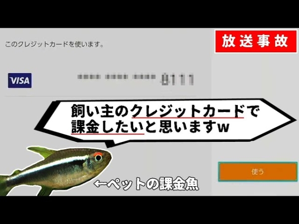 Аквариумные рыбки взломали кредитную карту своего хозяина через Nintendo Switch