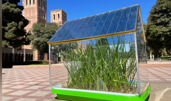 Теплицы с полупрозрачными солнечными панелями значительно улучшают рост растений