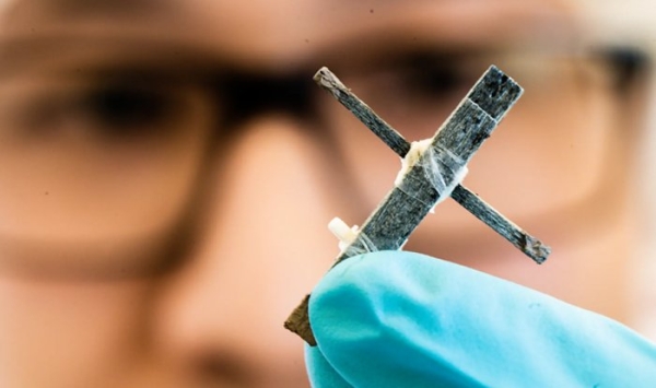 Шведские ученые разработали первый в мире деревянный транзистор