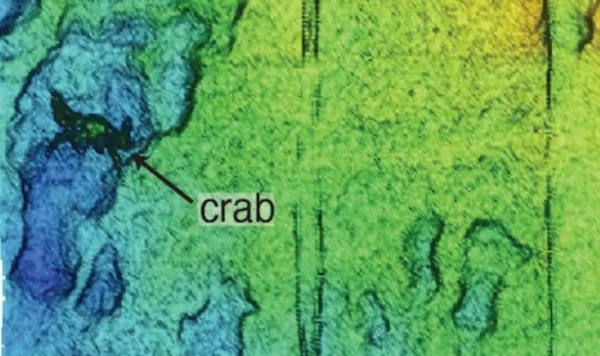 Новая детальная карта океанского дна позволяет разглядеть даже отдельных крабов