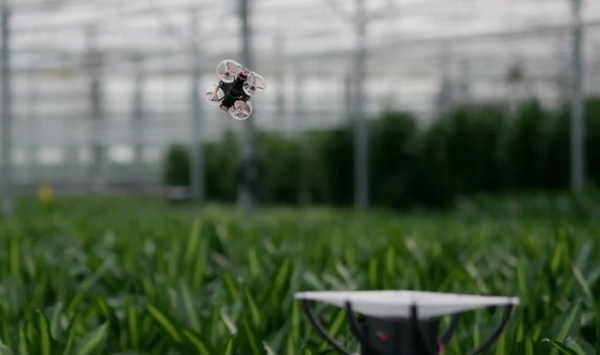 Система PATS борется с насекомыми в теплицах с помощью крошечных дронов-истребителей
