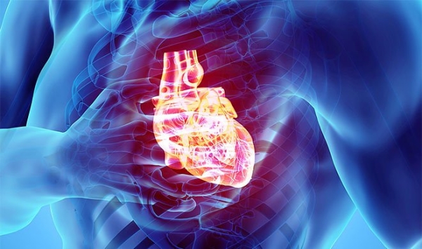 В России смогут на ранней стадии по коже диагностировать болезни сердца