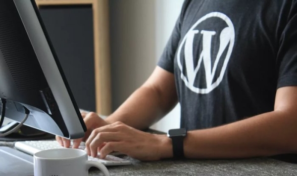 WordPress обещает пользователям домен и хостинг на 100 лет