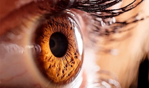 Тюменскими учеными выявлена зависимость депрессии от глаукомы
