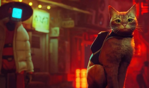 Annapurna анонсировала фильм по игре Stray о приключениях кота в мире киберпанка
