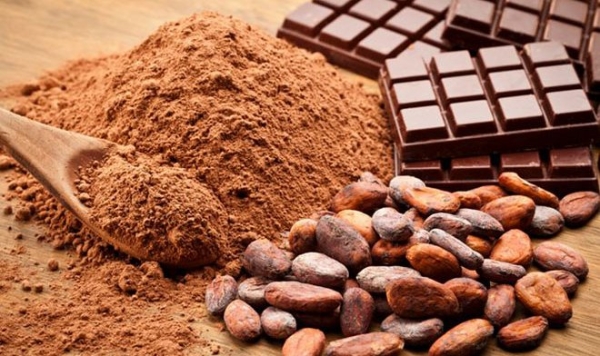 В УрГЭУ получили патент на заменитель какао-порошка, созданный из лузги