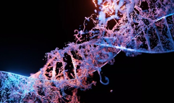 Всего за $1000 Biomemory превратит вашу ДНК в персональный флеш-накопитель