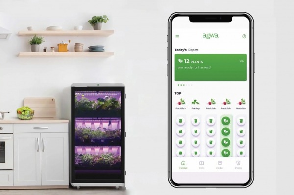 Домашняя микроферма AGWA вырастит свежие овощи и зелень с помощью ИИ