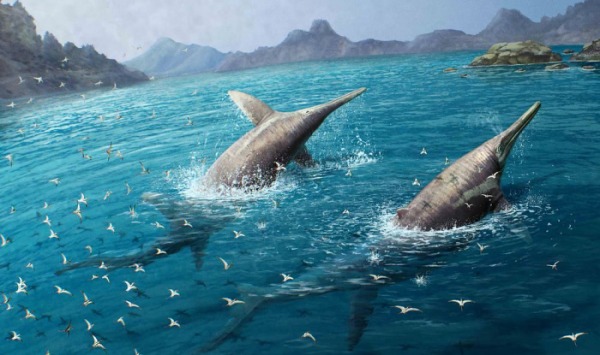 Самый большой морской динозавр мог потягаться размерами с синим китом