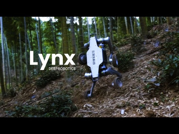 Китайский робот Lynx демонстрирует чудеса проходимости на бездорожье