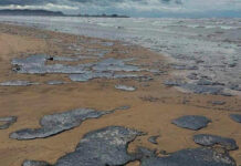 На Кубани выбрали самый эффективный способ очистки мазута