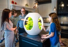 Мини-сад Plantaform позволит выращивать овощи дома с помощью «туманной гидропоники»