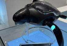 Робот-черепаха Beatbot скоро отправится в океан