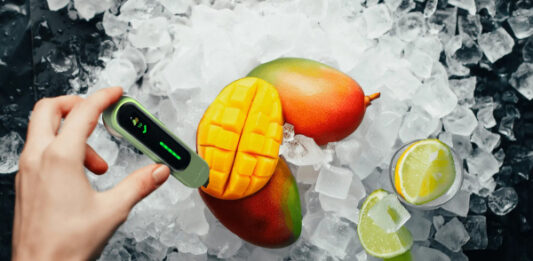 Компактный тестер EcoTracker определит безопасность продуктов за три секунды