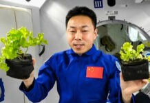 На китайской космической станции изготовили ракетное топливо и кислород с помощью искусственного фотосинтеза
