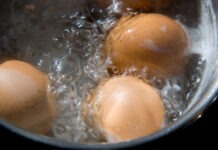 Вычислительная гидродинамика поможет приготовить идеальные вареные яйца