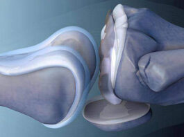 В Кабардино-Балкарии активно осваивают трехмерную биопечать имплантов