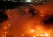 В Южной Корее полиция задержала мужчину, которого подозревают в причинении масштабных лесных пожаров