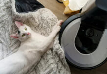 Производитель роботов-пылесосов Roomba предупредил о возможном банкротстве в ближайшие 12 месяцев